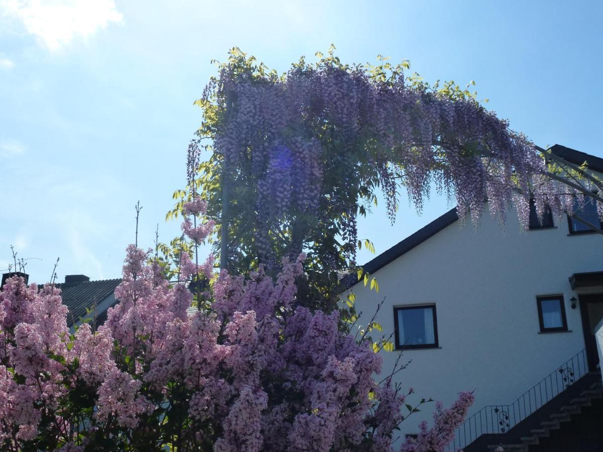 Weingut Harald Ludwig Apartment Osann-Monzel Exterior foto