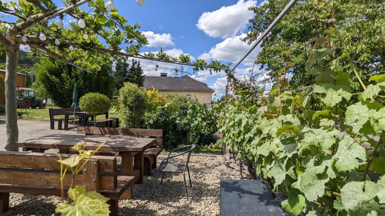 Weingut Harald Ludwig Apartment Osann-Monzel Exterior foto